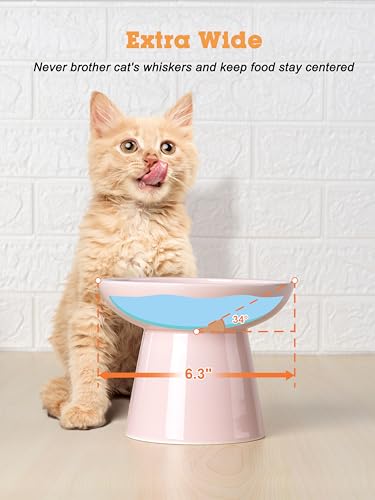 LoeJan Elevated Cat Food and Water Bowls Set, Extra Wide and Raised Ceramic Feeder, Anti-Vomit Whisker-Free Pressure Feeding Bowl for Kittens Adult Cats Small Dogs (Pink, Bowl Set) - color: Pink, size: 2 Pack (Food & Water Bowls)