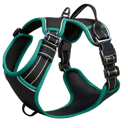 No Pull Dog Harness, No Chock Reflective Adjustable Soft Padded Pet Vest with Easy Control Handle, Easy Wearing with Stylish, Reinforced Knot, 2 Buckles - color: Black/Turquoise, size: Small