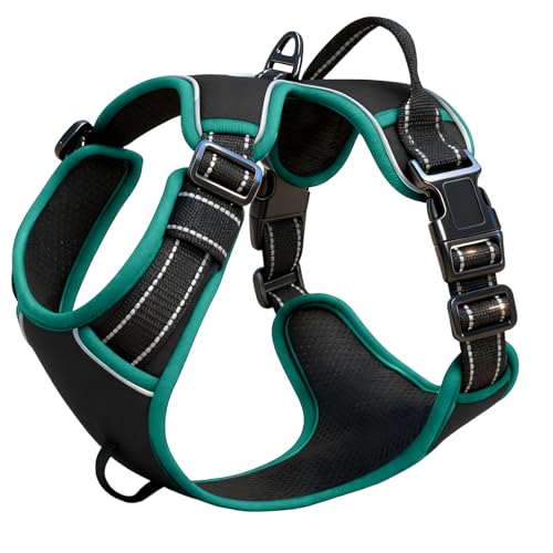 No Pull Dog Harness, No Chock Reflective Adjustable Soft Padded Pet Vest with Easy Control Handle, Easy Wearing with Stylish, Reinforced Knot, 2 Buckles - color: Black/Turquoise, size: Small