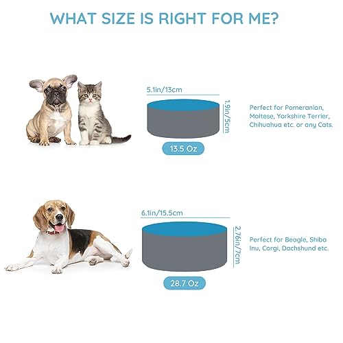 SPUNKYJUNKY 13.5OZ Ceramic Dog and Cat Bowl, Modern Cute Weighted Food Water Bowl for Replacement Blue-Grey (2 Pack) - color: Blue-grey, size: 1.7 CUPS × 2