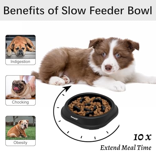 MateeyLife Small Slow Feeder Cat Bowls, Anti-Choking Puzzle Cat Food Bowls, Non Slip Interactive Dog Feeding Slow Down Eating, Bloat Stop Maze Dishes Dog Feeder for Small Breeds 1 Cup Black - color: H-Black, size: Small