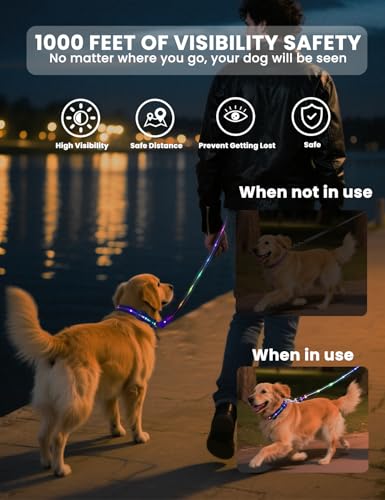 Waterproof LED Dog Leash + Collar,11Flashing Modes, Glow Collar for Dogs Set, Super Bright Reflective Leash for Small, Medium & Large Dogs USB-C Rechargeable, Light Up Dog Leash - 5FT