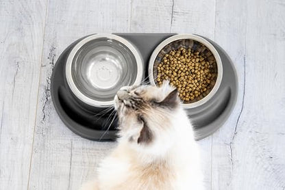 Ubbi Pet Feeding Bowls Set with Non-Slip Mat, Elevated & Flat Stainless Steel Dog or Cat Bowls, Ergonomic 15° Angled Feeder, Dishwasher Safe, Charcoal Gray - color: Charcoal
