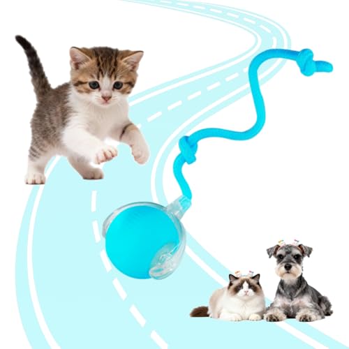 KumCinn Interactive Dog Ball for Small Medium Dogs, Automatic Self Moving Cat Toys Ball for Indoor Cats, 360° Rolling Electric Pet Ball, Fast Smart Motion Activated Toy (Blue) - color: BLUE-A