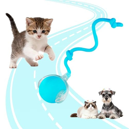 KumCinn Interactive Dog Ball for Small Medium Dogs, Automatic Self Moving Cat Toys Ball for Indoor Cats, 360° Rolling Electric Pet Ball, Fast Smart Motion Activated Toy (Blue) - color: BLUE-A