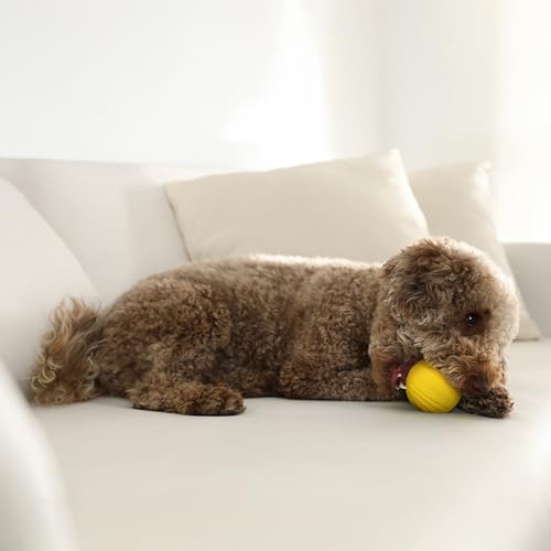 Playology Dog Toys | Dual Layer Ball Durable Chew Toy for Tough Chewers | Chicken Scented Medium Dog Toy | Chew Toys for Dogs - size: Medium, style: Chicken