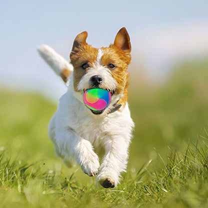 4 pcs Light Up Dog Balls Flashing Elastic Ball Glow in The Dark Interactive Pet Toys for Puppy, Cats, Dogs - color: 4 pcs smooth balls
