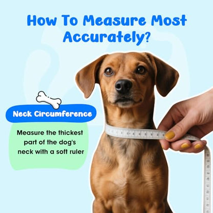Soft Small Dog Cone Collar Alternative for Small Dogs(Puppy Yorkshire Puppy Chihuahua Pomeranian), Comfortable Dog Neck Recovery Cone, Adjustable Head Pillow Cone After Surgery to Stop Licking - size: XS(Neck Girth:3.54"-7")