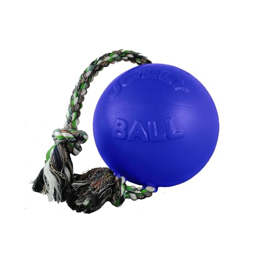 Jolly Pets Romp-n-Roll Rope and Ball Dog Toy, 4.5 Inches/Small, Blueberry for All Breed Sizes - color: Blueberry, size: Small (4.5 in)