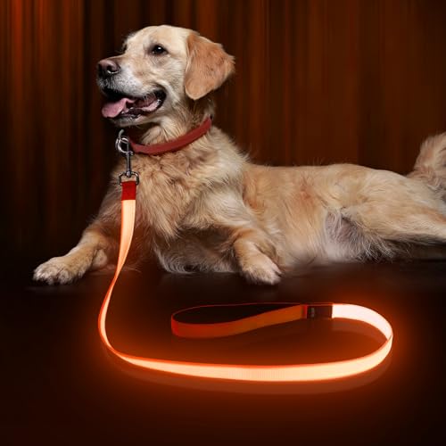 LED Dog Leash Light Up 4 Feet USB Rechargeable Nylon Webbing Glow Safety Standard Dog Leash Orange by Bpawser - color: Orange, size: 4 Feet