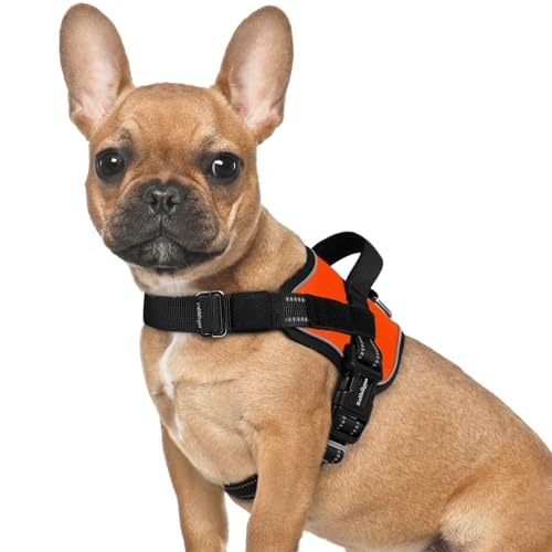 rabbitgoo Dog Harness for Small, Easy On Pet Vest with One Buckle, No Pull Adjustable Service Harness with D-Ring & Handle, Reflective for Safety Walking, Training, Orange, S - color: Orange, size: Small