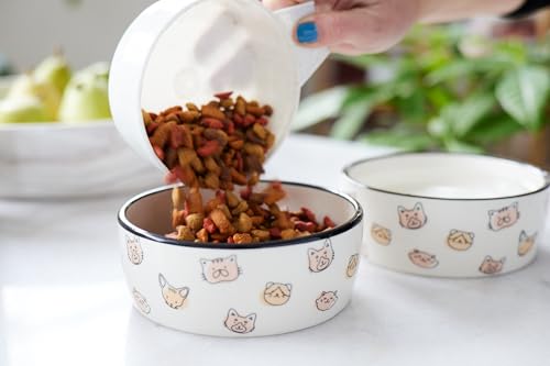 Pearhead Ceramic Cat Bowl, Holds 12 oz, Whisker-Friendly Pet Dish for Food and Water, Cute Cat Face Design - color: Blush Cat Faces, size: Single Bowl