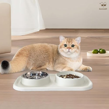 Waterproof Silicone Cat Food Bowls, Stainless Steel & Silicone Slow Feeder Double Bowls, Non-Skid & Non-Spill Raised Edge, Food and Water Feeder for Cat and Puppy - color: Silicone material-Beige