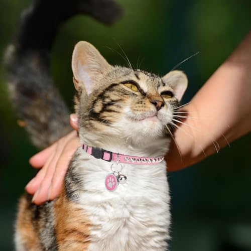 Leather Personalized Breakaway Cat Collar with Studded Bell and Safety Quick Release Buckle - Rivets Studded ID DIY Collars for Boy Girl Cats Kittens, 9" - 11.5" Pink - color: Pink, size: 9"-11.5"