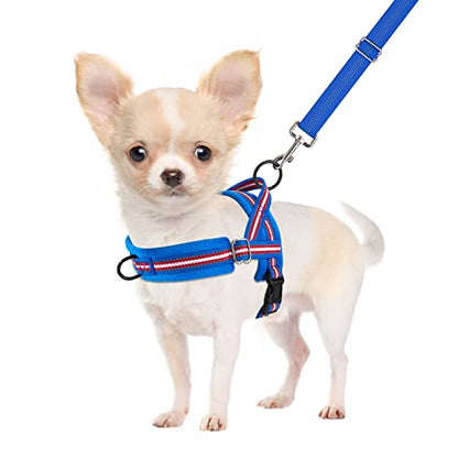 SlowTon No Pull Small Dog Harness and Leash Set, Puppy Soft Vest Harness Neck & Chest Adjustable, Reflective Lightweight Harness & Anti-Twist Pet Lead Combo for Small Medium Dogs (DB-Front Clip, XXS) - color: B-Dark Blue - With Front Clip, size: XX-Small