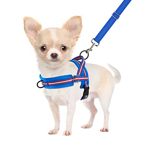 SlowTon No Pull Small Dog Harness and Leash Set, Puppy Soft Vest Harness Neck & Chest Adjustable, Reflective Lightweight Harness & Anti-Twist Pet Lead Combo for Small Medium Dogs (DB-Front Clip, XS) - color: B-Dark Blue - With Front Clip, size: X-Small