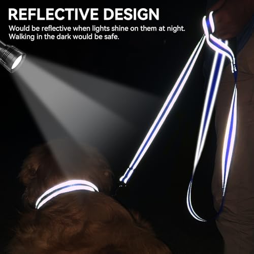 Joytale Dog Leash, 4 FT Double-Sided Reflective, Padded Handle Nylon Heavy Duty Leashes for Small Dogs Walking, Navy Blue - color: Navy Blue, size: 4 ft Narrow