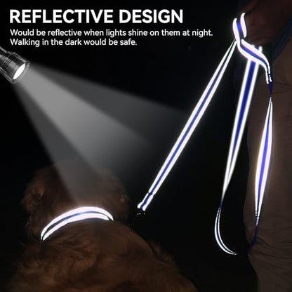 Joytale Dog Leash, 4 FT Double-Sided Reflective, Padded Handle Nylon Heavy Duty Leashes for Small Dogs Walking, Navy Blue - color: Navy Blue, size: 4 ft Narrow