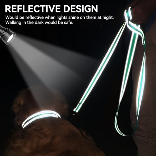 Joytale Dog Leash, 4 FT Double-Sided Reflective, Padded Handle Nylon Heavy Duty Leashes for Medium & Large Dogs Walking, Teal - color: Teal, size: 4 ft Standard
