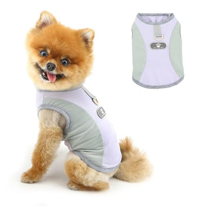 PAIDEFUL Summer Cooling Dog Shirt for Small Dogs Breathable Mesh Pet T-Shirts UV Sun Protection Puppy Vest Soft Lightweight Doggie Tank Top Fashion Chihuahua Tee Clothes Cat Apparel D-Ring,Purple,XL - color: purple, size: XXL