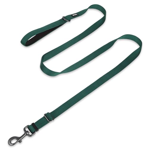 Nylon Adjustable 4-6ft Dog Leash with Soft Neoprene Padded Handle, Durable Heavy Duty Leash with Easy-to-Use Bolt Snap, Ideal for Jogging Outdoor - color: Green, size: Large Adjustable 6 Feet