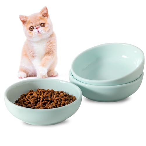 5.3 in Ceramic Cat Dishes - Shallow Food Bowls for Small Pets, 3 Pack for Food and Water -Light Blue - color: Light Blue