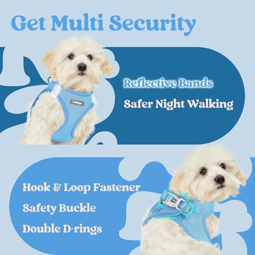 rabbitgoo Small Dog Harness, Step-in Soft Mesh Puppy Vest with Safety Buckle, Breathable Reflective Pet Harness for Extra Small Dogs, Blue XXS - color: Blue, size: Xxs(chest:12.4"-14.2")