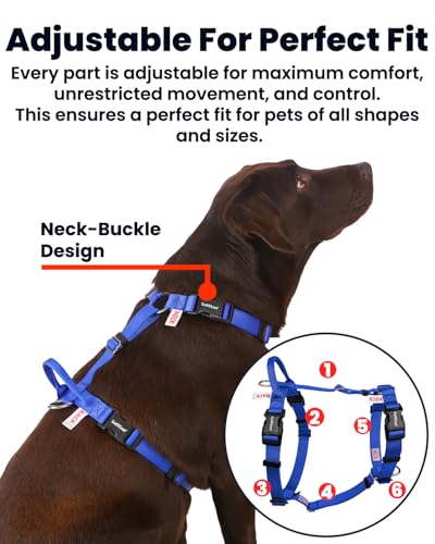 Non Restrictive No Pull Dog Harness, Neck Buckle Desgin, Easy Walk Freedom Harness Keep Balance, Six Points Adjustment, for Medium Dog Chest(21-30 inches), Blue - color: Blue, size: M