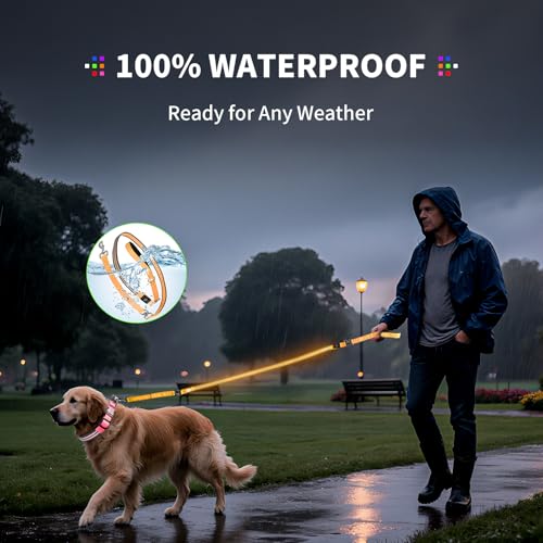 Night Walking LED Dog Leash - 6FT Reflective & Waterproof Light Up Safety Leashes for Dogs - USB Rechargeable, Orange - color: Orange(Fiber optic version)