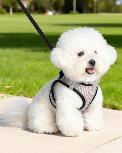 Dog Harness Small Sized and Leash Set, Step in Soft Light Puppy Vest, Breathable Mesh Pet Harness Suitable for Puppies and Kittens. (Pink, XXS(Chest:10.24-11.81")) - color: Pink, size: XXS(Chest:10.24-11.81")