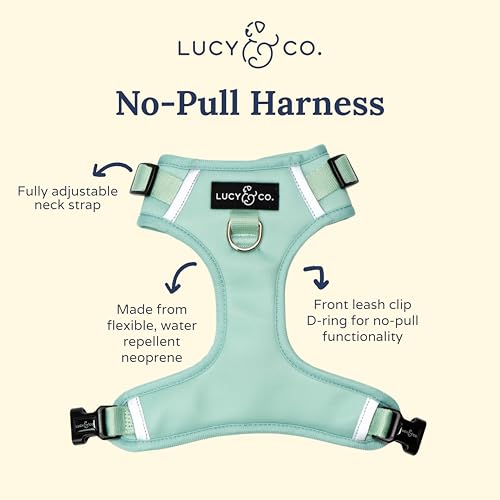Lucy & Co. The Spring Green No-Pull Dog Harness - Size Small- Vest to Stop Pulling & Walk Easy - Comfortable Leash Training Product w/Adjustable Chest & Neck Straps - color: The Spring Green No-Pull Harness, size: Small