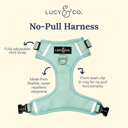 Lucy & Co. The Spring Green No-Pull Dog Harness - Size Small- Vest to Stop Pulling & Walk Easy - Comfortable Leash Training Product w/Adjustable Chest & Neck Straps - color: The Spring Green No-Pull Harness, size: Small