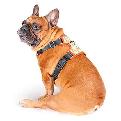 iChoue French Bulldog Vest Harness Adjustable No Pull Soft Padded with Locked Buckle for Frenchie Pug English Boston Terrier Dogs, Kiwi Fruit, Small - color: A Vest Harness Kiwi Fruit, size: Small ( 5 - 25 lbs )