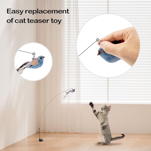 10PCS Cat Bird Toy Refills Feather Cat Wand Attachments with Bell, Interactive Cat Toys for Indoor Cats Kittens, Kitty - color: 10PCS Birds