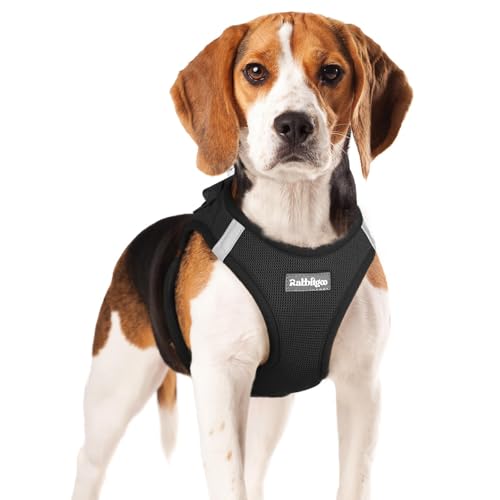 rabbitgoo Small Dog Harness, Step-in Soft Mesh Puppy Vest with Safety Buckle, Breathable Reflective Pet Harness for Small Medium Dogs, Black XL - color: Black, size: Xl(chest:20.0"-21.8")