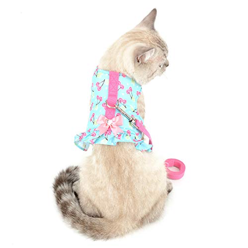 Zunea No Pull Small Dog Girl Harness Dress Escape Proof Cat Kitten Vest Harness Leash Set Step-in Soft Cotton Padded Cherry Printed Jacket Chihuahua Puppy Clothes with Bow for Walking Blue M - color: blue cherry, size: M (Chest:16.9-17.7", Neck:10.6-11.4"
