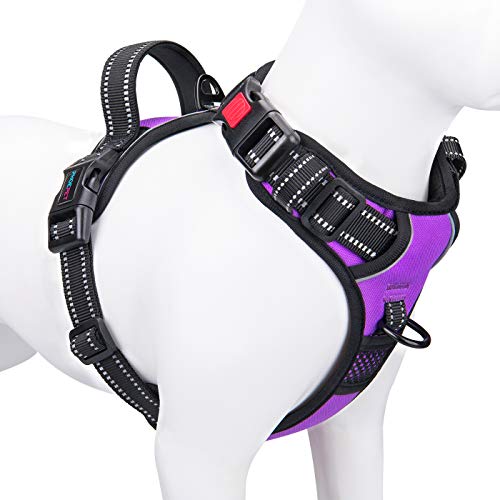 PHOEPET No Pull Dog Harnesses for Small Dogs Reflective Adjustable Front Clip Vest with Handle 2 Metal Rings 3 Buckles [Easy to Put on & Take Off](XS, Purple) - color: Purple, size: Extra Small