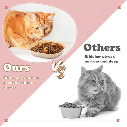 Tioncy 24 Pcs Fatigue Relief Cat Bowl 5.7 Inch Shallow Cat Food Dish Wide and Small Pet Wet Feeding Bowl for Kitten Short Legged Kitten Ferrets Feral Small Animals(Pink, Beige,Classic) - color: Pink, Beige, style: Classic