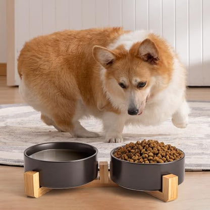Mowtanco Black Ceramic Dog & Cat Bowl Set – 13.5 OZ with Wooden Stand, Non-Slip, Elevated Design for Small Dogs & Cats – 2 Bowls (Food & Water, Ceramic Pet Bowls, Modern Dog Bowls) - color: Black × 2