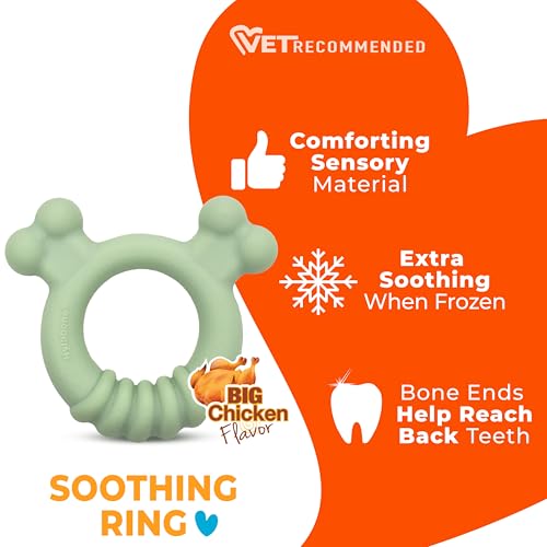 Nylabone Sensory Material Soothing Puppy Chew Toy Ring, Toys for Teething Puppies, Chicken Flavor, Small - Up to 25 lbs, 1 Count