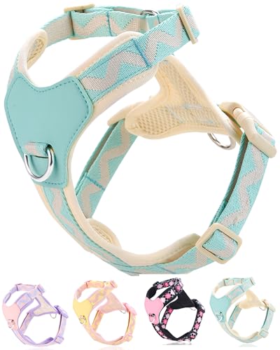 Petank Blue Small Dog Harness for Small Dogs, No Pull Dog Harness with 2 Leash Clips, Puppy Harness, Adjustable Dog Vest Harness (Blue, S) - color: Blue, size: S
