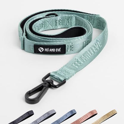 Fei & Eve Classic Dog Leash - 6FT, Dual Padded Handles, 360° Swivel Hook, Heavy Duty 210D Nylon - No-Pull Design with Traffic Control Handle - for Small/Medium/Large Dogs, Green - color: Glacier Green, size: 6FT