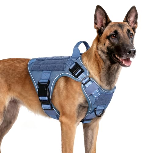 rabbitgoo Tactical Dog Harness Medium Sized, No Pull Upgraded Reflective Heavy Duty Molle Vest with Handle, Adjustable Military Service Dog Vest for Walking Hiking Training, Blue, M - color: Blue Reflective, size: Medium