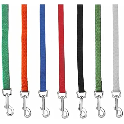 Downtown Pet Supply - Long Dog Leash - Dog Training Leash - Recall & Obedience Dog Training Tools - Nylon - 150 ft - Hunter Green Dog Leash - color: Hunter Green, size: 150 Foot