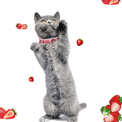 4 Pack Cat Kitten Collar Breakaway with Bell Quick Release Safe Buckle Adjustable Cat Kitten Collar - color: 2#Fruit, size: Kitten(Neck:6"-8")