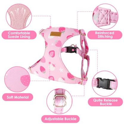Lukovee Puppy Harness and Leash Set, No Pull Lightweight Soft Suede Adjustable Pet Harness Vest with Snap Buckle for Puppy Small and Medium Size Dog (Pink Strawberry, XS) - color: Strawberry, size: X-Small ( 5.5-11lb )