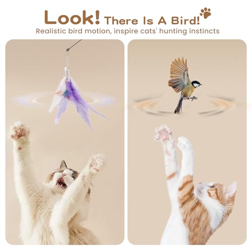 Pawaboo Feather Teaser Cat Toy, Interactive Feather Wands Cats Toy Flying Feathers Cat Catcher with Extra Long 34.5" Wand and Small Bell, Exerciser Playing Toys, 1 Wand + 6 Feathers, Colorful - color: Z-Colorful