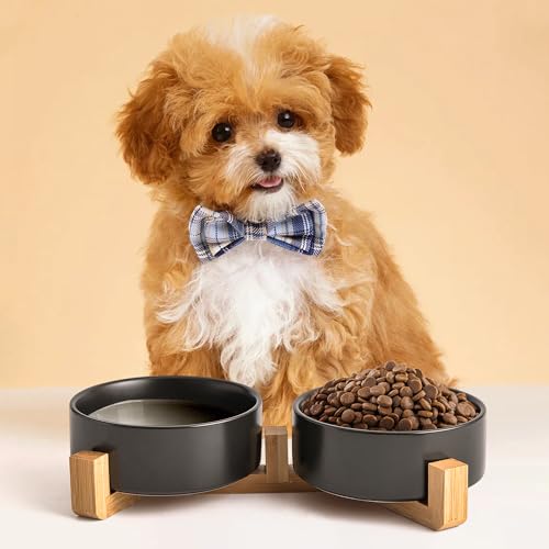 Mowtanco Black Ceramic Dog & Cat Bowl Set – 13.5 OZ with Wooden Stand, Non-Slip, Elevated Design for Small Dogs & Cats – 2 Bowls (Food & Water, Ceramic Pet Bowls, Modern Dog Bowls) - color: Black × 2