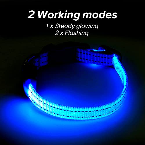 BSEEN Light Up Dog Collar, Rechargeable LED Dog Collar Reflective Glowing Pet Collar for Puppies & Cats, Safety Dog Lights for Night Walking (Blue) - color: Blue