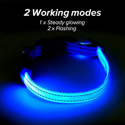 BSEEN Light Up Dog Collar, Rechargeable LED Dog Collar Reflective Glowing Pet Collar for Puppies & Cats, Safety Dog Lights for Night Walking (Blue) - color: Blue